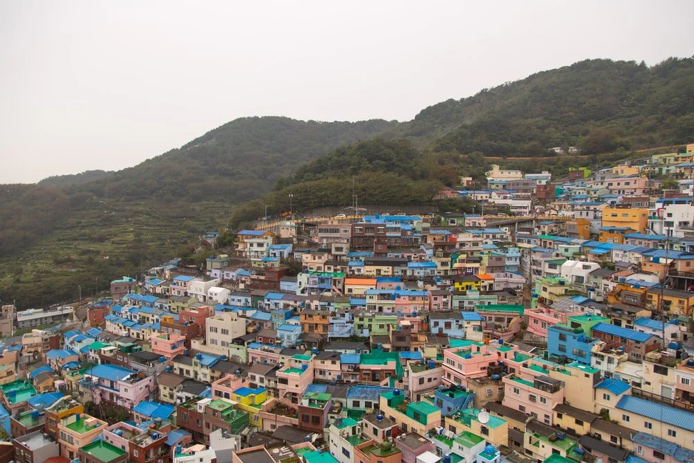 Paint By Numbers | Busan - Aerial View Of Buildings