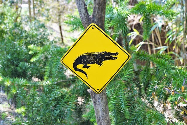 Australia Sign Nature Paint By Number Kit