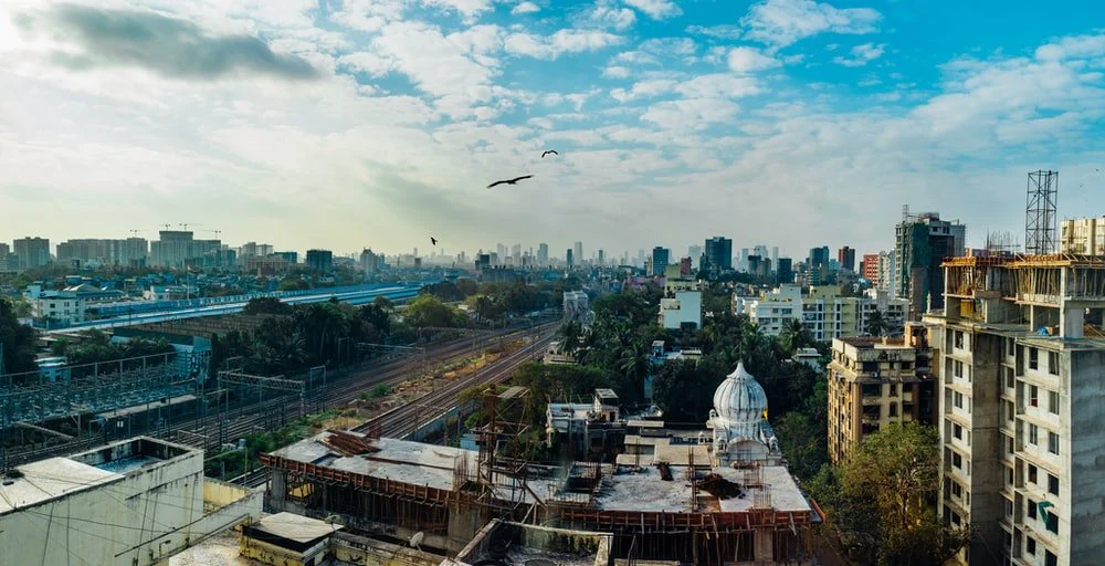 Paint By Numbers | Bird Flying Over City Buildings During Daytime