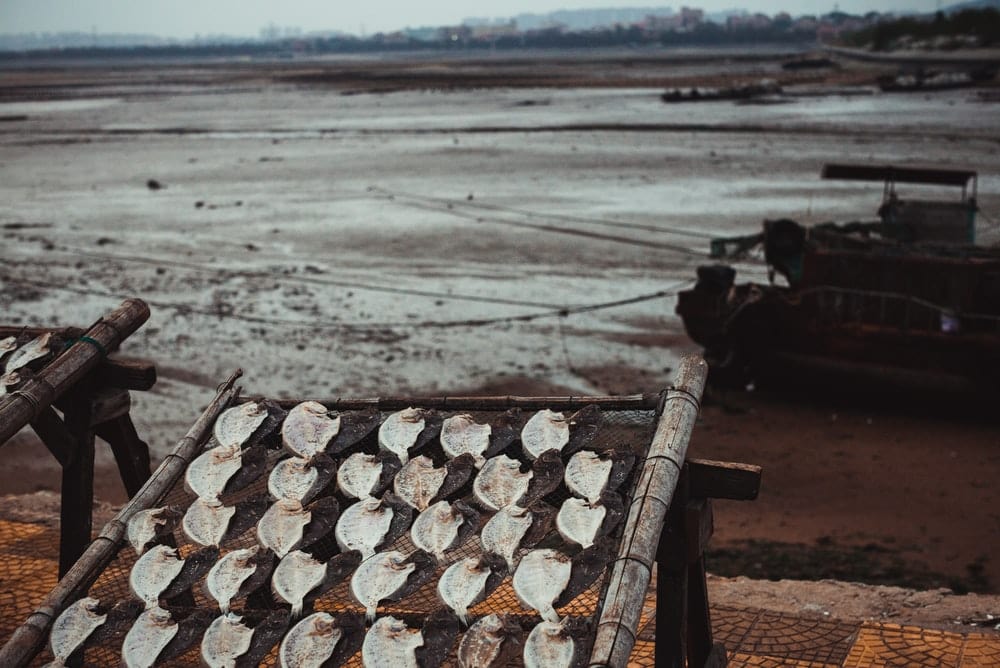 Paint By Numbers | Quanzhou - Black And White Wooden Fence