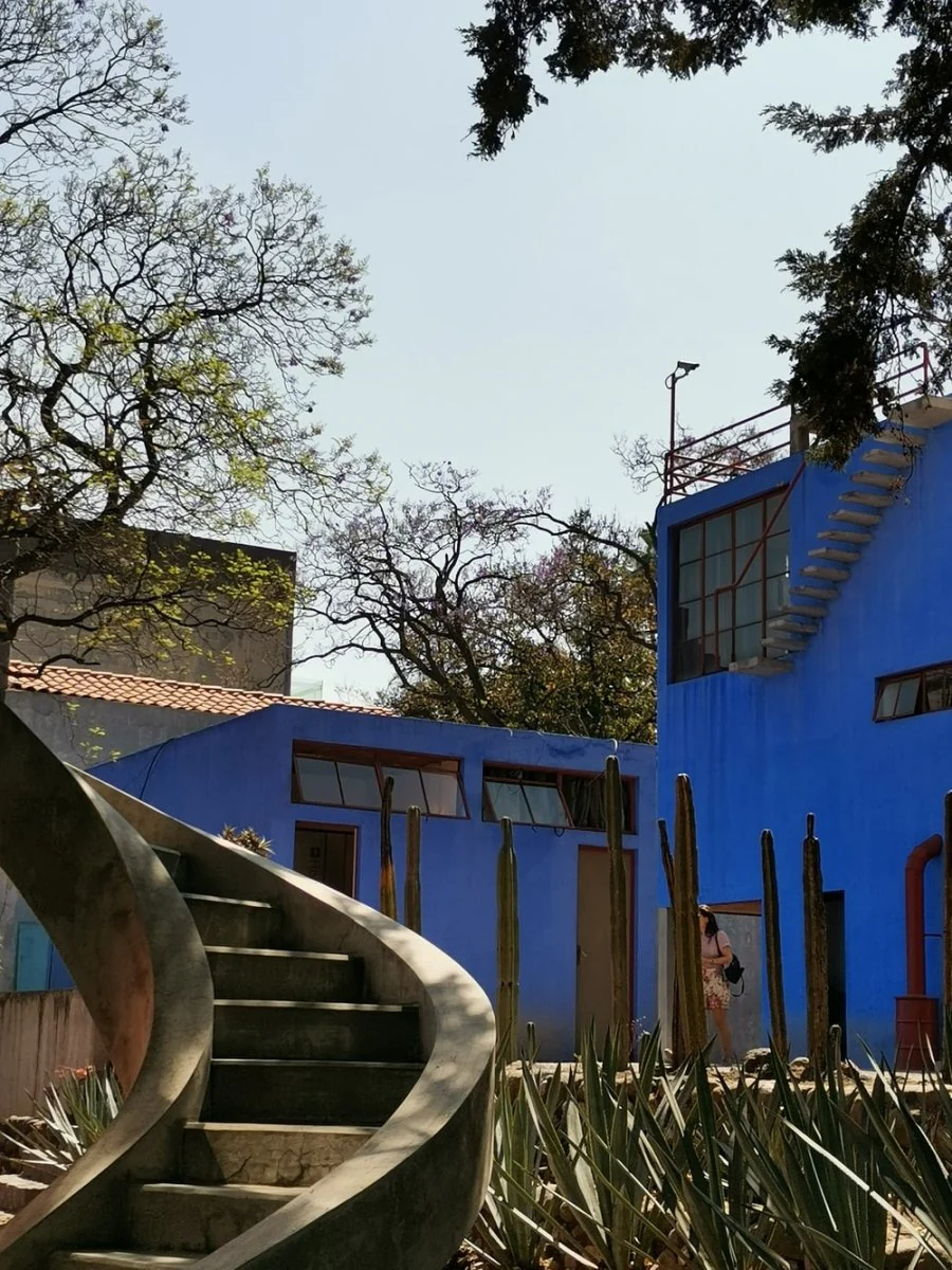 Paint By Numbers | Blue And White Concrete Building Near Green Trees During Daytime
