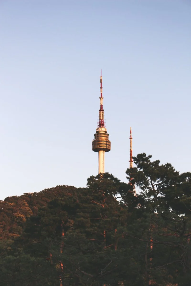 Paint By Numbers | Brown And Black Tower