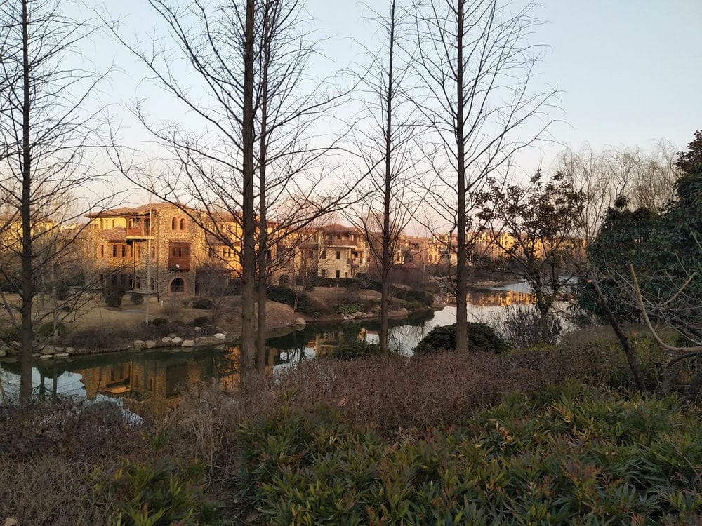 Paint By Numbers | Zhengzhou - Brown Bare Trees Near Brown Concrete Building During Daytime