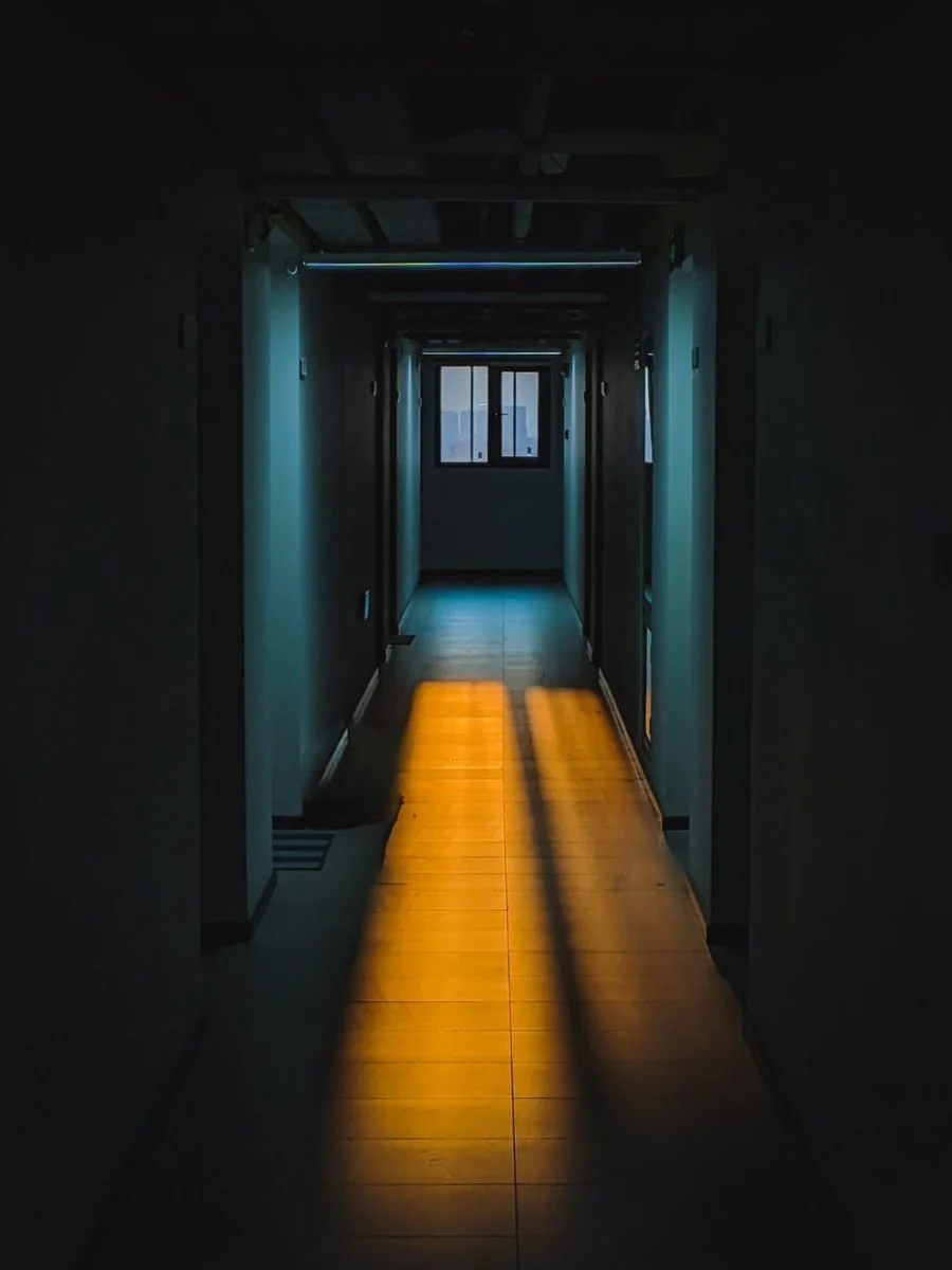 Paint By Numbers | Shenzhen - Brown Wooden Hallway With Blue Wooden Doors