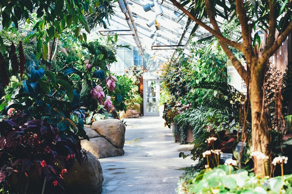 Paint By Numbers | Montréal - Garden House