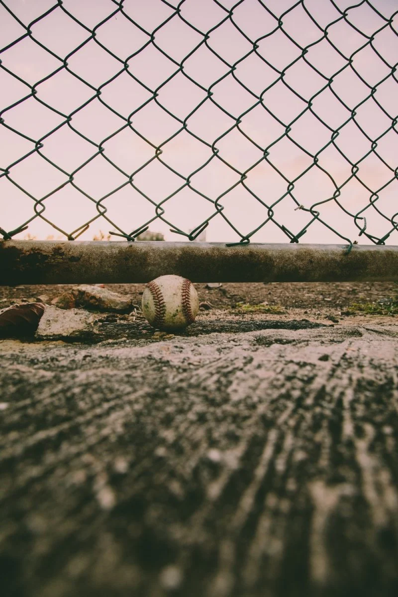 Paint By Numbers | Armadillo - Grayscale Photo Of Baseball On Field