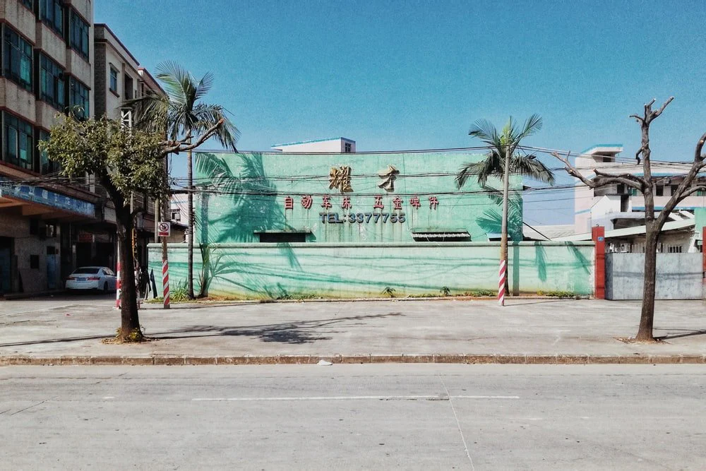 Paint By Numbers | Dongguan - Green And White Concrete Building Near Green Palm Tree Under Blue Sky During Daytime