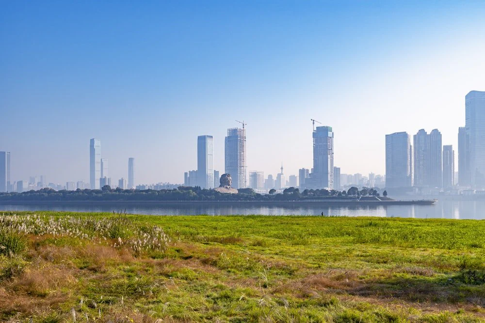 Paint By Numbers | Changsha - Green Grass Field Near City Buildings During Daytime