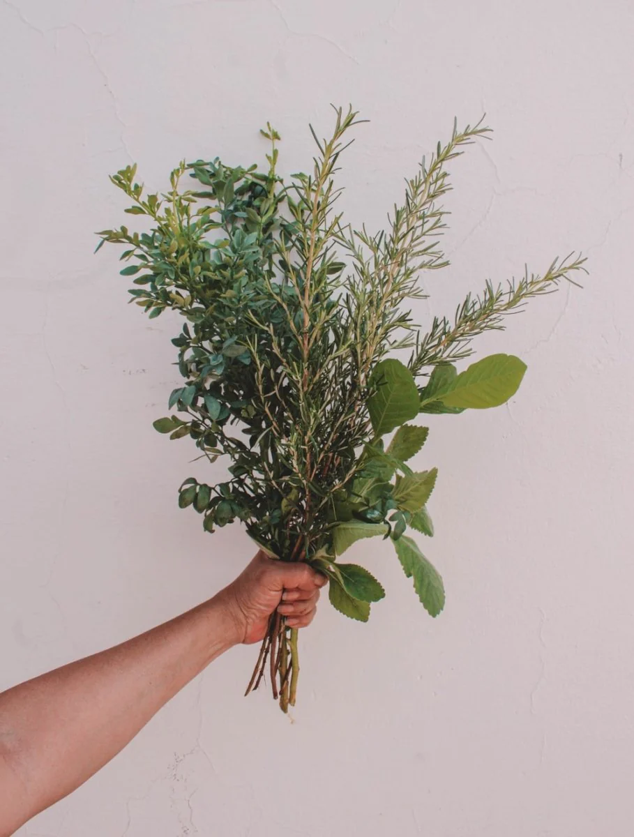 Paint By Numbers | Green Plant On Persons Hand