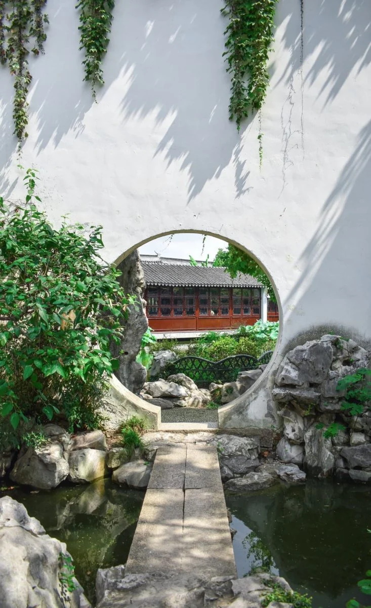 Paint By Numbers | Suzhou - Green Plants On Gray Concrete Wall