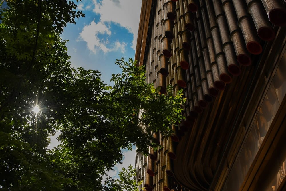 Paint By Numbers | Zhongshan - Green Tree Beside Brown Concrete Building During Daytime