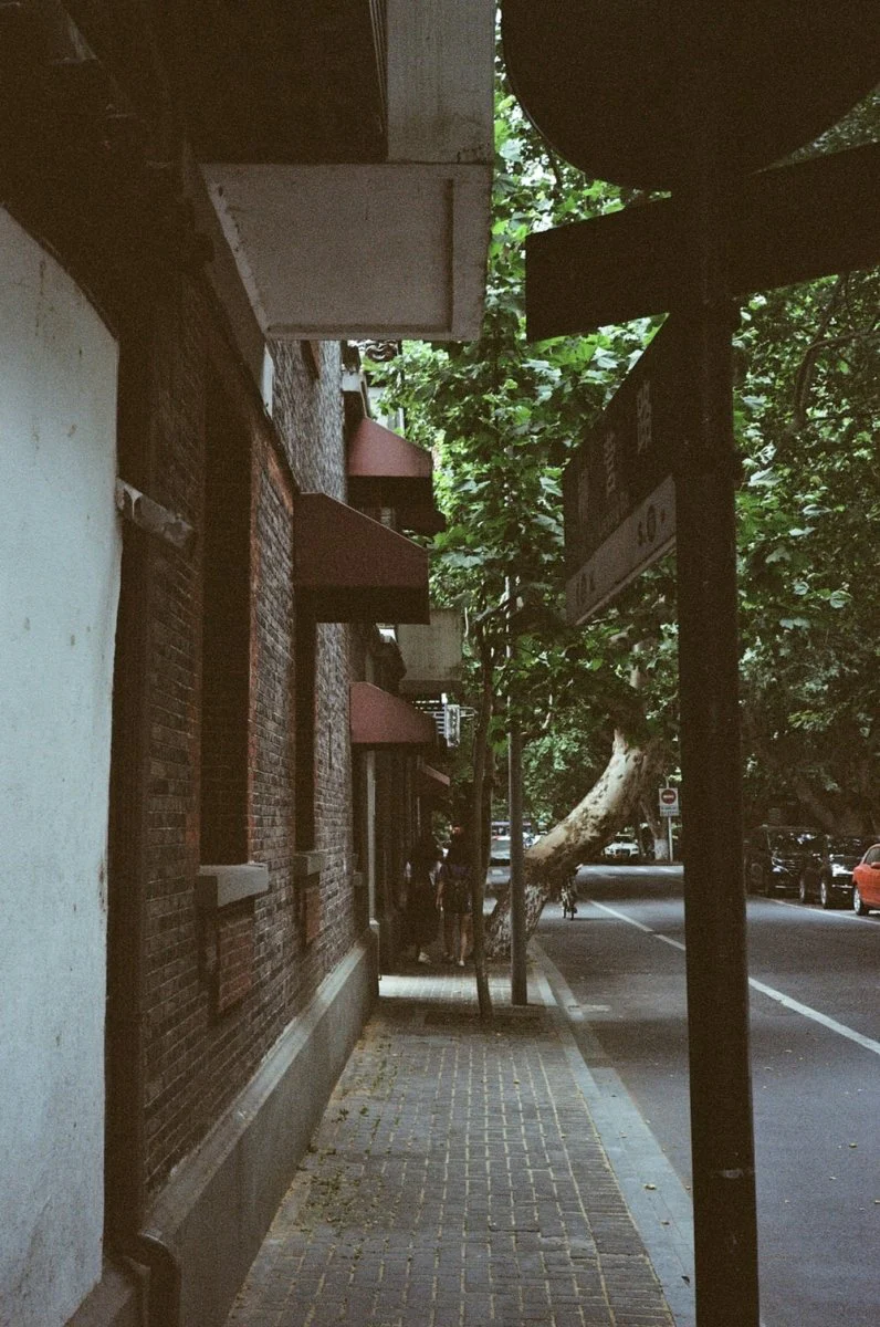 Paint By Numbers | Hangzhou - Green Tree Near Brown Concrete Building During Daytime