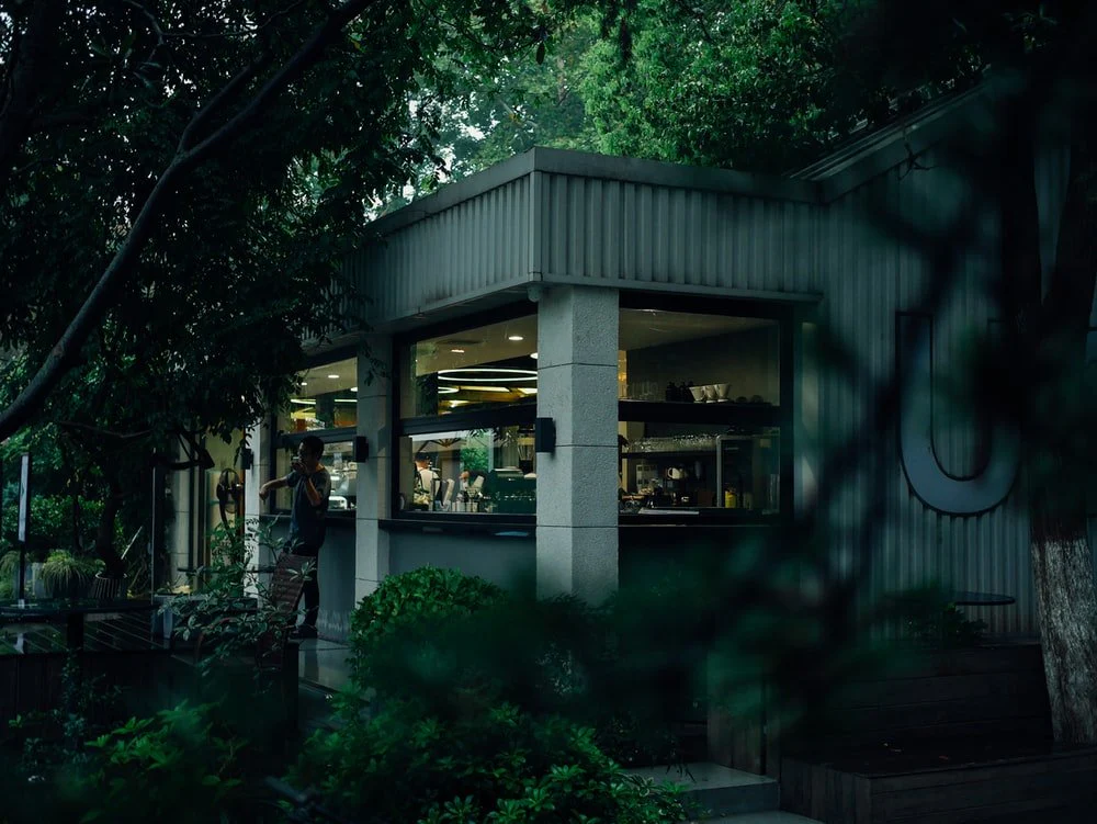 Paint By Numbers | Hefei - Green Trees Near Gray Building