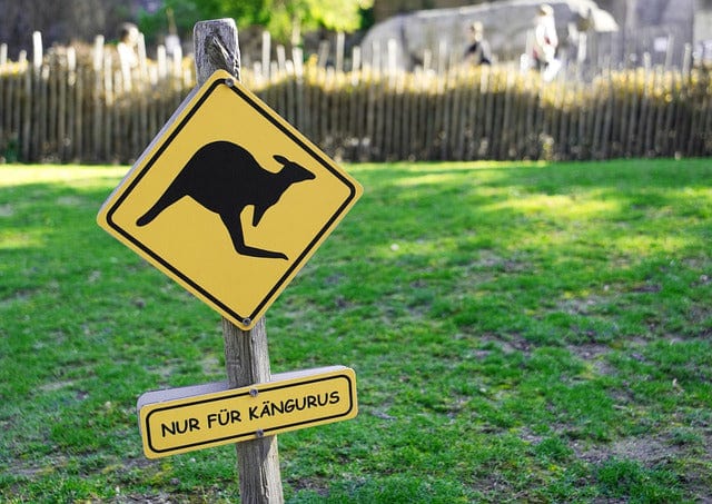 Kangaroo Sign Prohibitory Paint By Number Kit