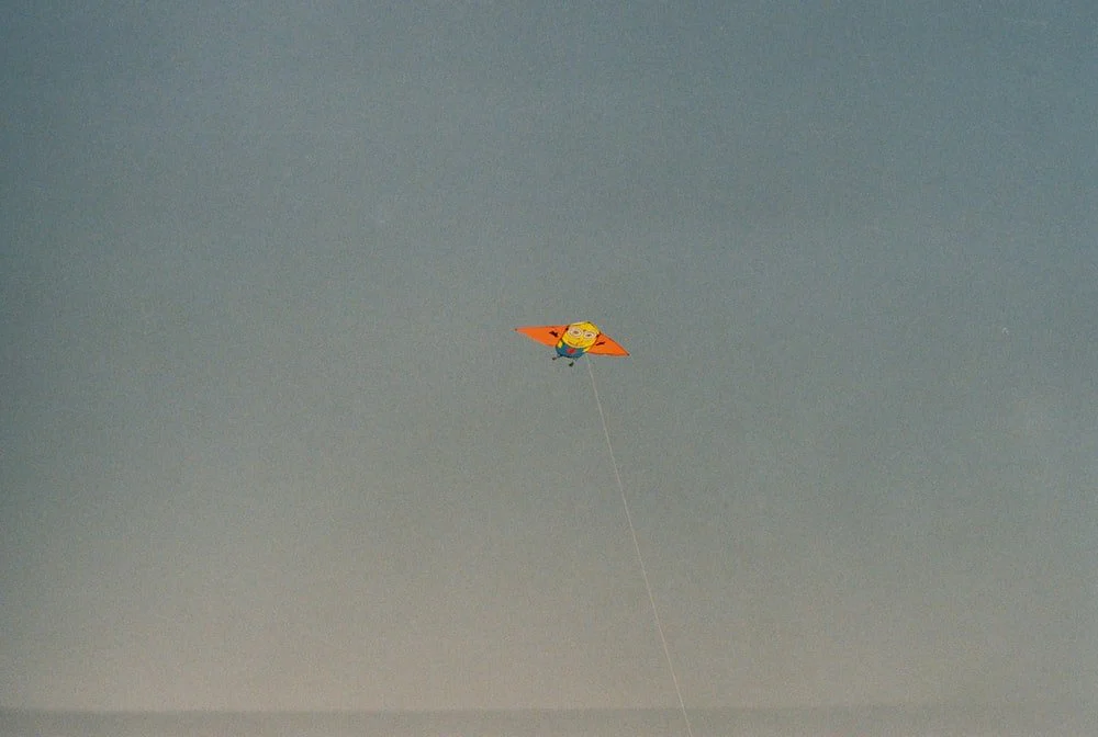 Paint By Numbers | Dalian - Kite At Flight