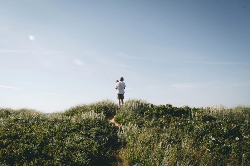 Paint By Numbers | Man Carrying Toddler Standing On Green Field Hill