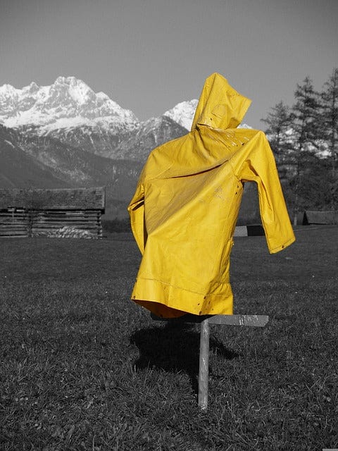 Meadow Yellow A Raincoat Paint By Number Kit