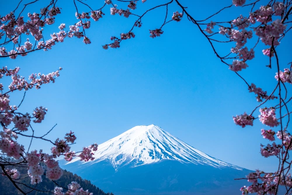 Paint By Numbers | Tokyo - Mt. Fuji, Japan