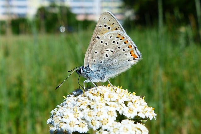 Nature Outside Summer Paint By Number Kit