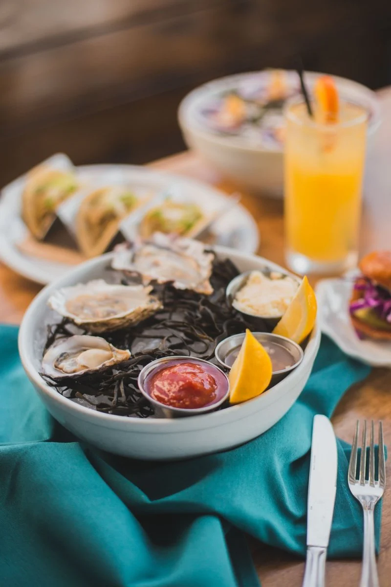 Paint By Numbers | Oyster - Oyster In Bowl