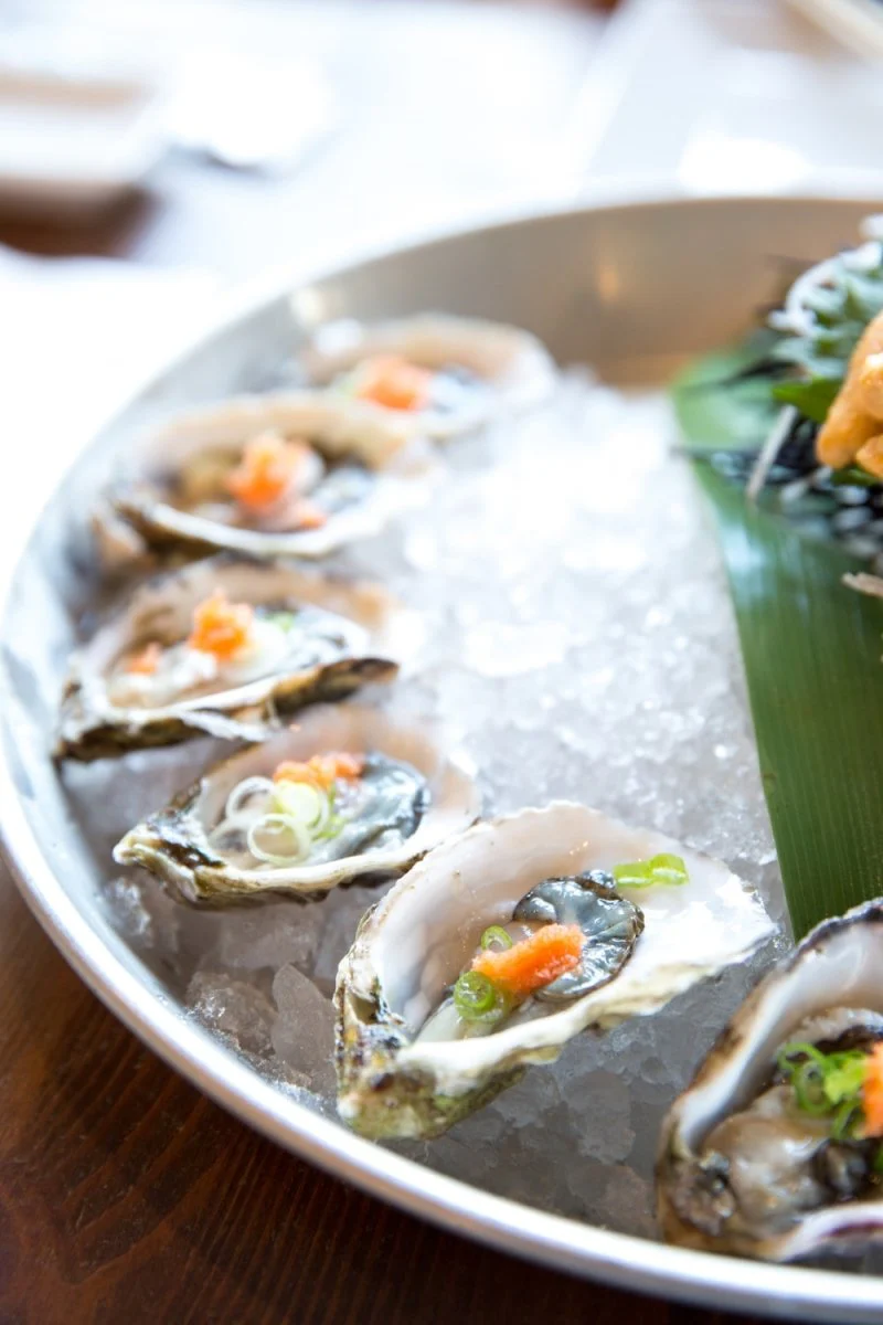 Paint By Numbers | Oyster - Oyster On Ice