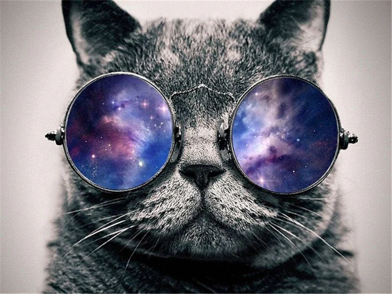 Paint By Numbers | Cats - Image 12