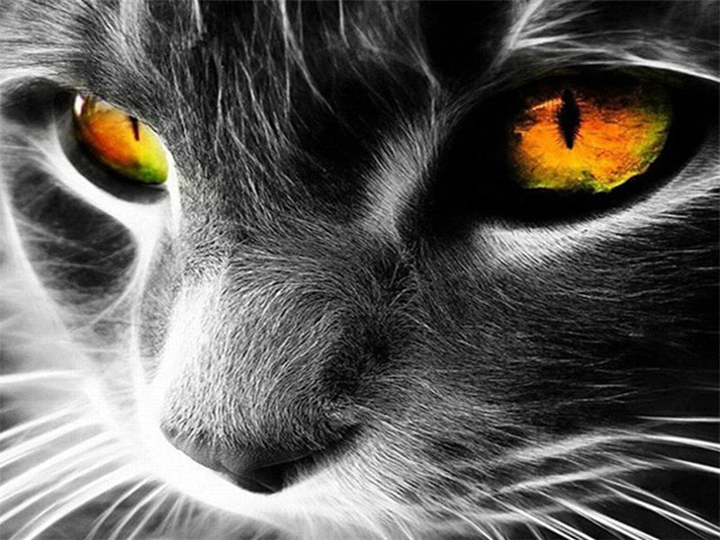 Paint By Numbers | Cats - Image 14