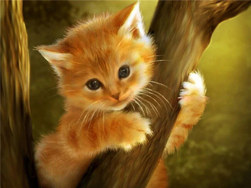 Paint By Numbers | Cats - Image 5