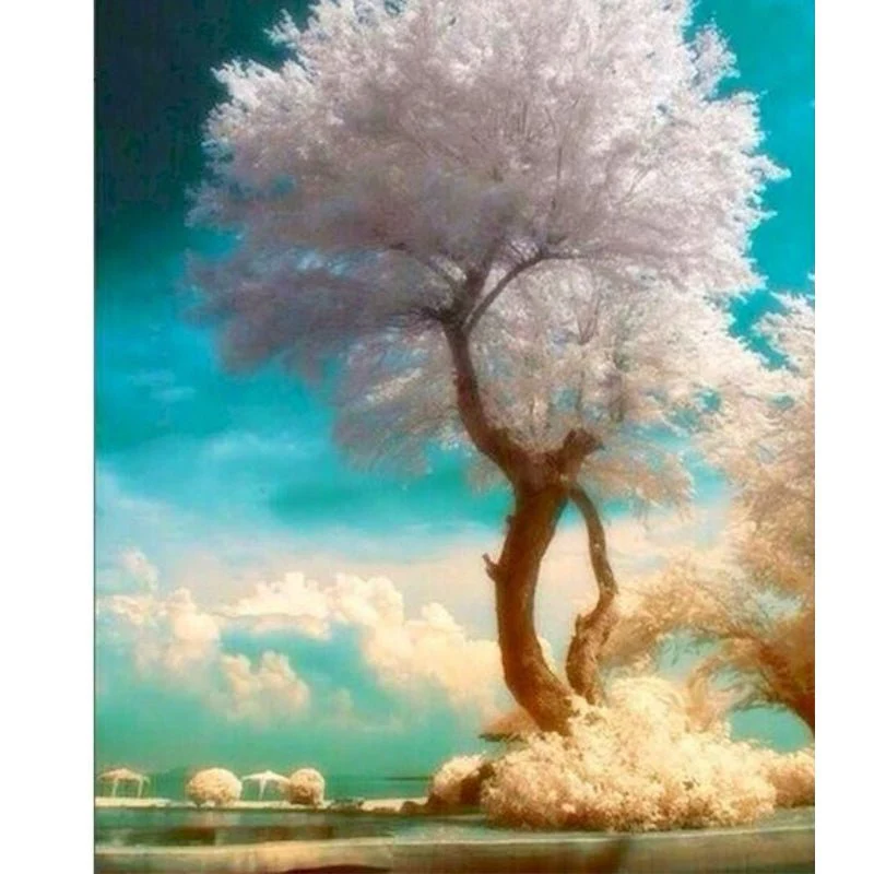 Paint By Numbers | Dreamy Cloud Tree