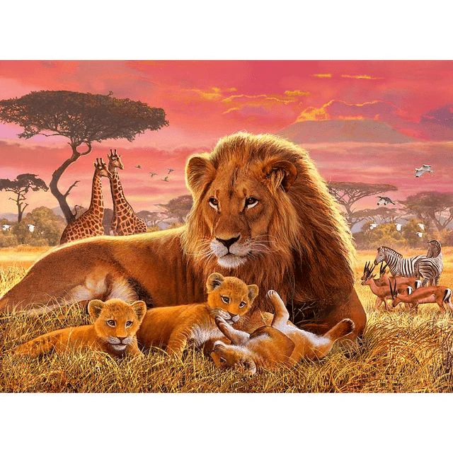 Paint By Numbers | King his Cubs
