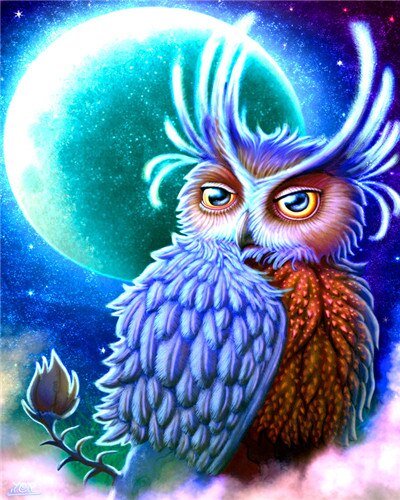 Paint By Numbers | Owls - Image 7