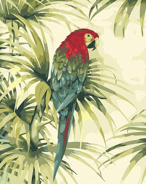 Paint By Numbers | Parrots - Image 13