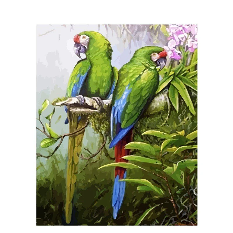 Paint By Numbers | Parrots - Image 16