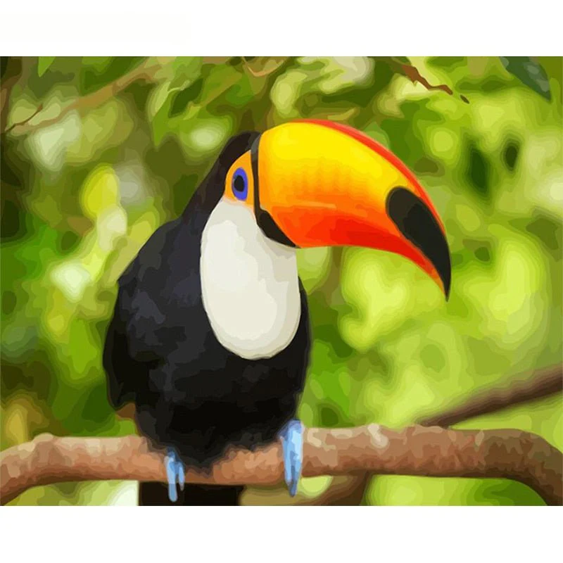Paint By Numbers | Parrots - Image 17