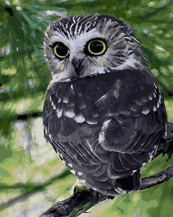 Paint By Numbers | Parrots - Image 19