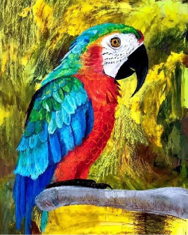 Paint By Numbers | Parrots - Image 20