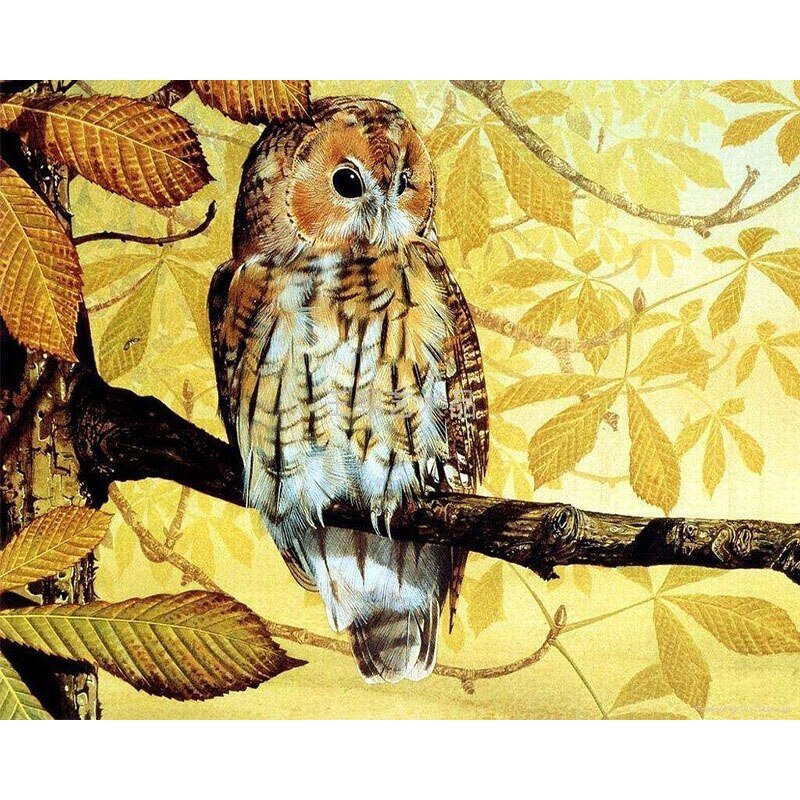 Paint By Numbers | Parrots - Image 7