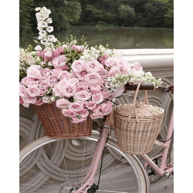 Paint By Numbers | Pink Roses in Bike