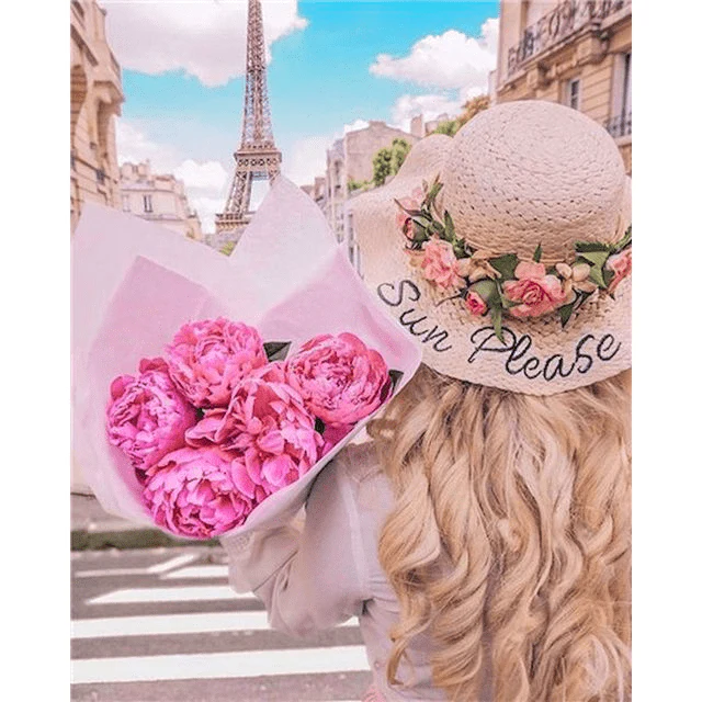 Paint By Numbers | Sun Please in Paris