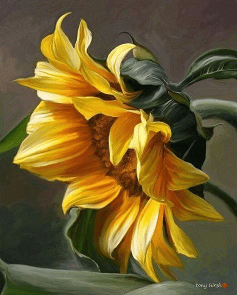 Paint By Numbers | Sunflower Portrait