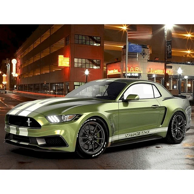 Paint By Numbers | The Ford Mustang NotchBack
