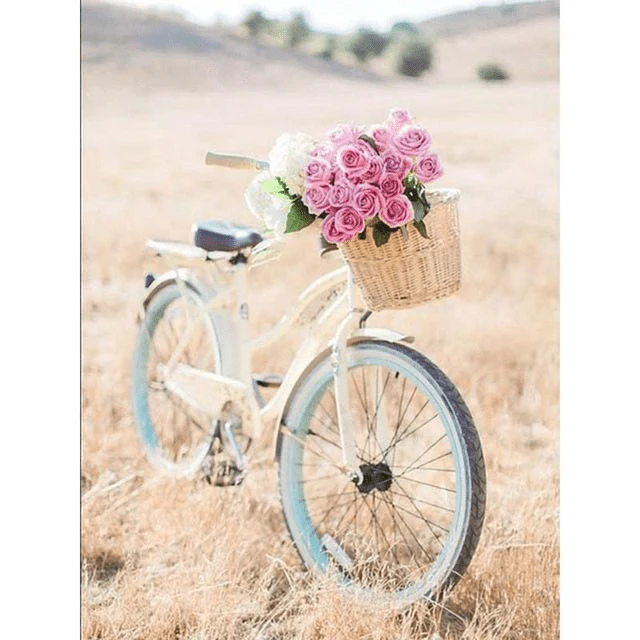 Paint By Numbers | Vintage Bicycle and Roses