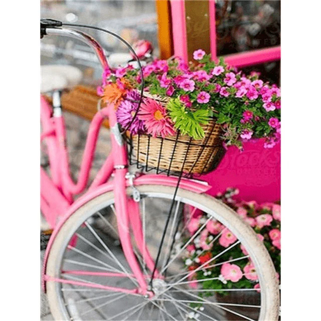 Paint By Numbers | Vintage Bike with Flowers