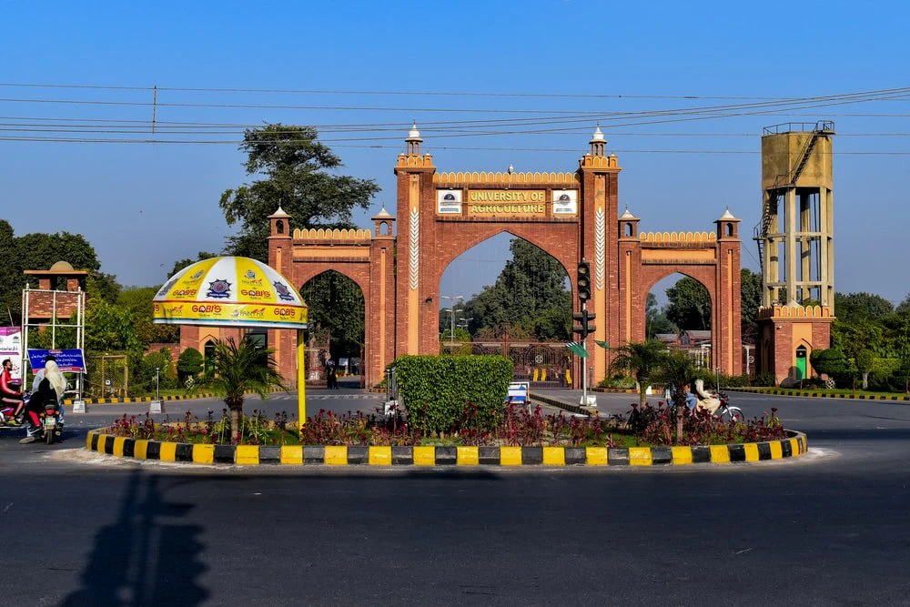 Paint By Numbers | Faisalabad - People Walking On Park During Daytime