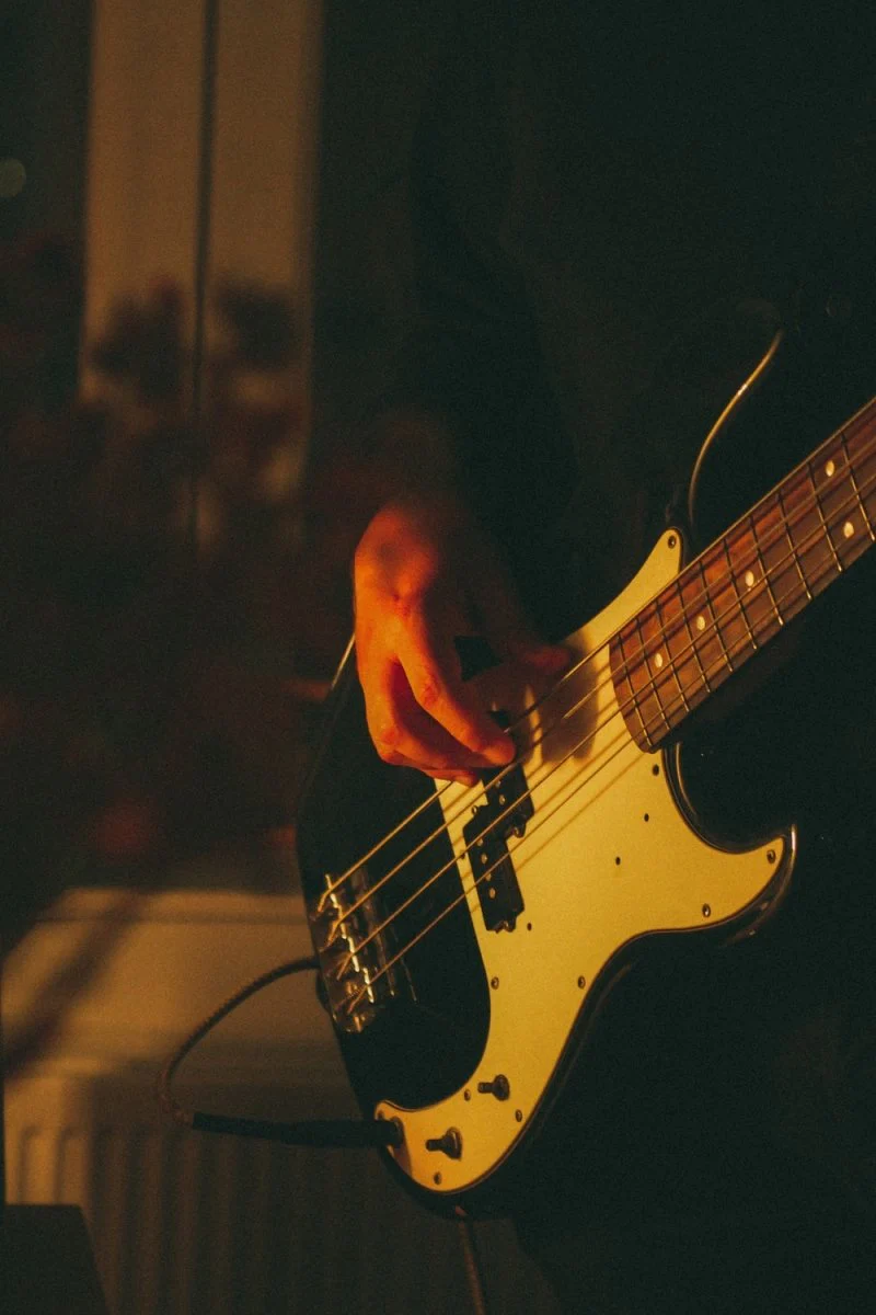 Paint By Numbers | Bass - Person Playing Electric Guitar During Night Time