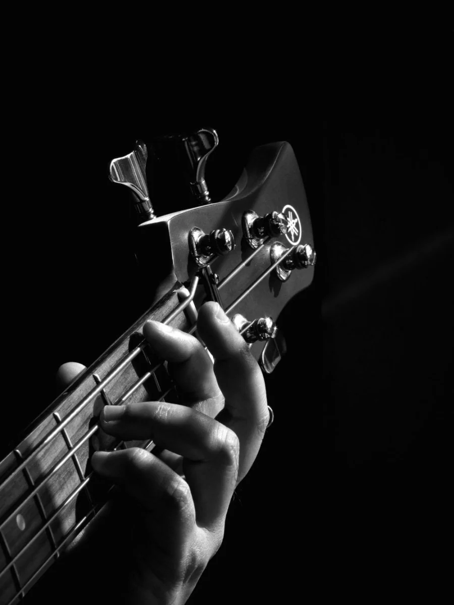 Paint By Numbers | Bass - Person Playing Guitar Grayscale Photo