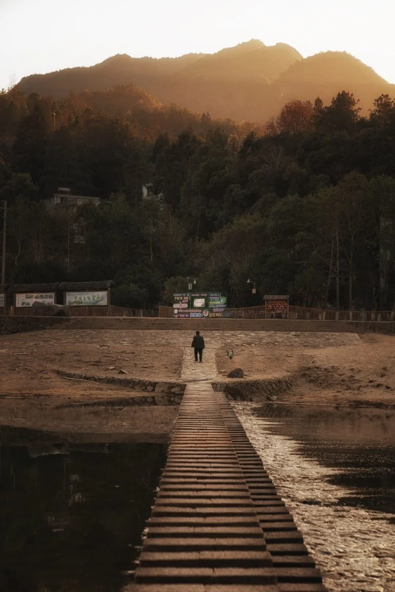 Paint By Numbers | Wenzhou - Person Walking On Wooden Pathway Near Green Trees During Daytime