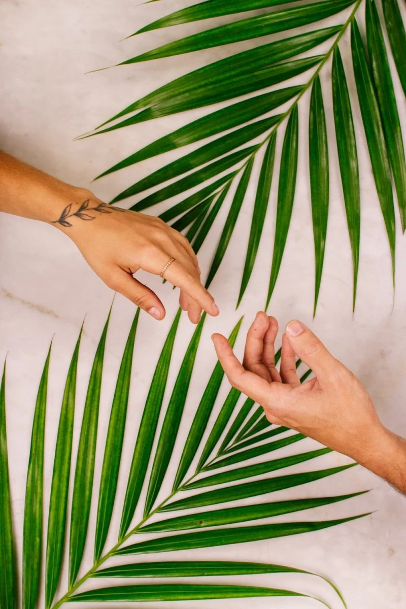 Paint By Numbers | Person'S Hand Near Palm Leaf