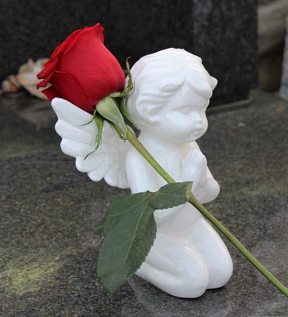 Stop Children Suicide Angel Red Rose Paint By Number Kit