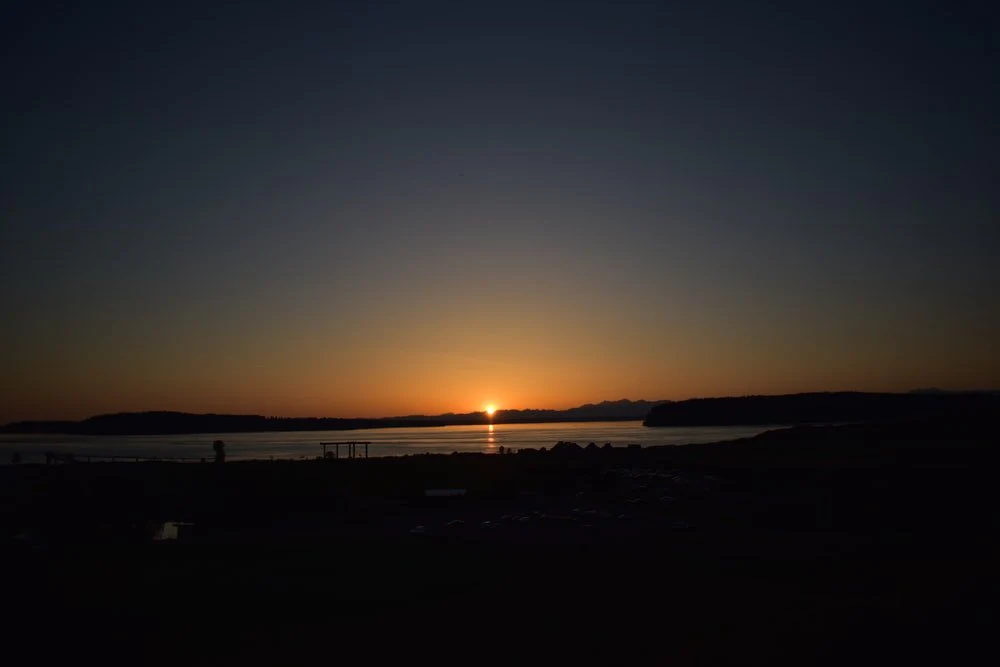 Paint By Numbers | Aardvark - Sunset Over Horizon